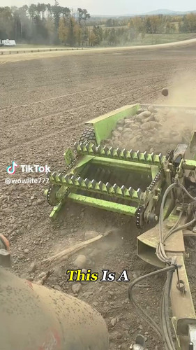 lp0 V c981KcE3BD.jpg