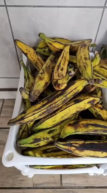 v8dG IVtN4EiPNHD.jpg