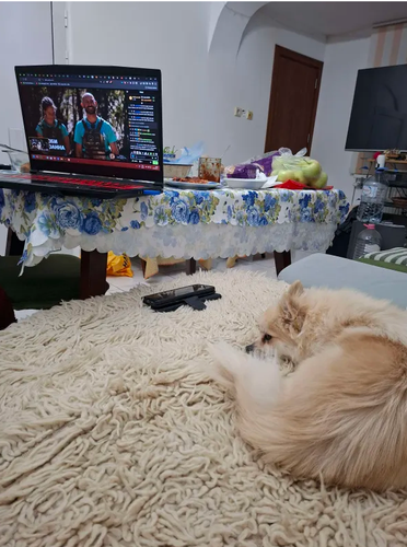 chrome GDAh9D5odd.png