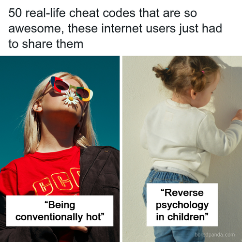 life cheat codes.png