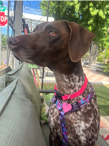 70c82ac8 8f4b 4840 b6b2 94768dccbf6e.jpg