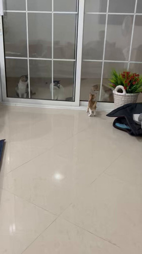 DKaE3MnDjGMMY2 k.jpg