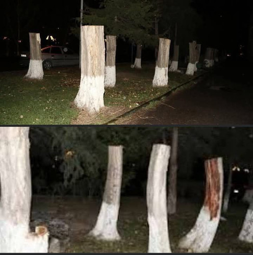 XdBoDn qgRZr8jIE2 dIB AqV3lfWncgAGvBvmKoeLUBBBIVDSizTm5e0TwaNobWIsLZrc1yZ V6GSpw0ux7SjdbVDAW0hpJ1s2V.jpg