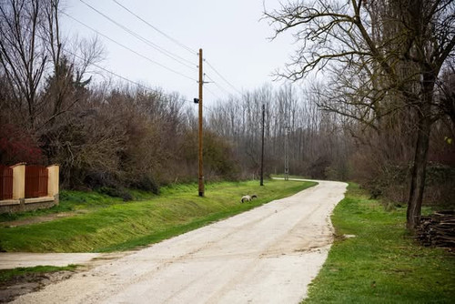 594206424 1441920827302133 303669089361389805 n.jpg?stp=dst jpg s590x590 tt6& nc cat=111&ccb=1 7& nc.jpg