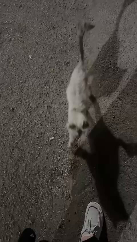 Bxp6FYDRa8 ldYMW.jpg