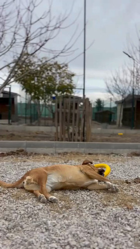 G9ZpwN0TX8UXbpJ .jpg