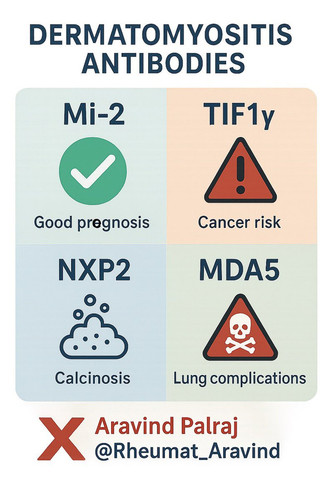 Gzbj7zraQAAyD 5?format=jpg.jpg
