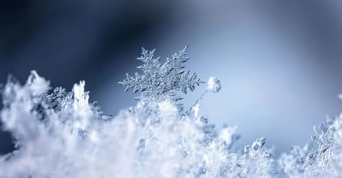 180162865474010209?url=https%3A%2F%2Ftsayg.am%2Fwp content%2Fuploads%2F2025%2F12%2FIMG 1659.jpeg&fb .jpg