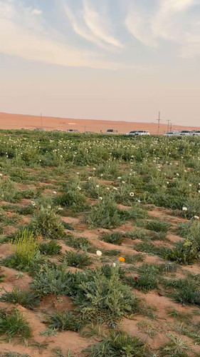 e dVXuXcAFurgNyT.jpg