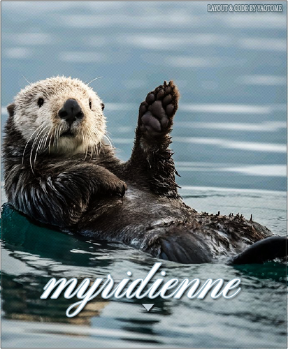 myridienne personal.png