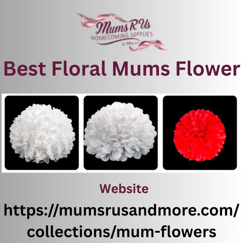 Best Floral Mums Flower.jpg
