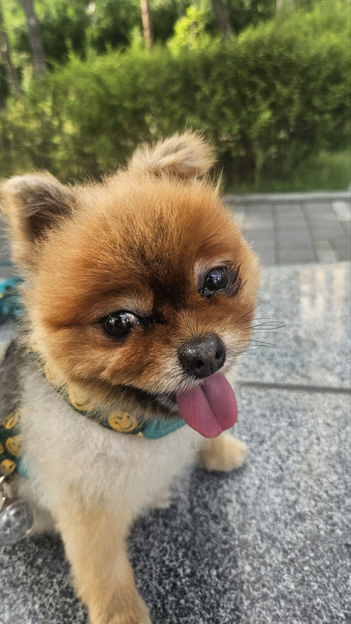 KakaoTalk 20250629 182829510 01.jpg