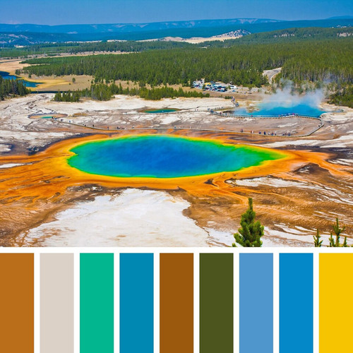 imageedit 1 4062430729.jpg