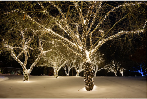 Screenshot 2025 12 05 105712.png