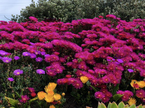 upload 1764901931.png