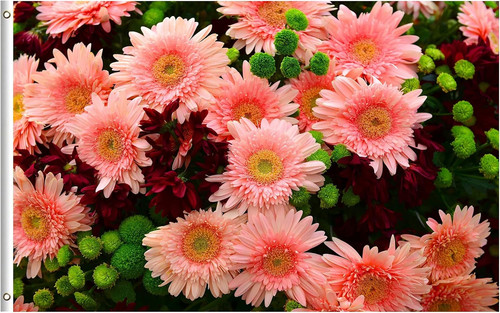 91ZJJloJZzL. AC SL1500 .jpg