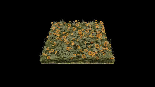 FprGsFxAuC88bA P.jpg