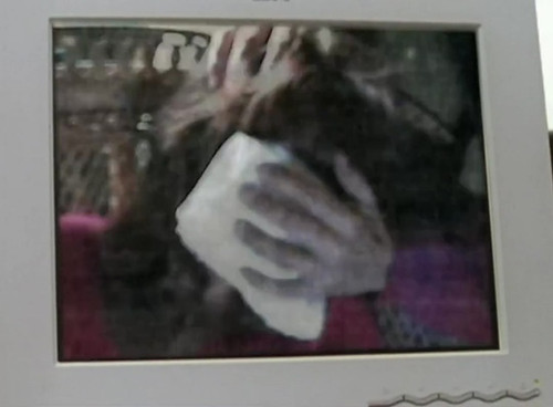 18 Wheels of Justice s2e20 The Game Lisa Thornhill chl 4.jpg