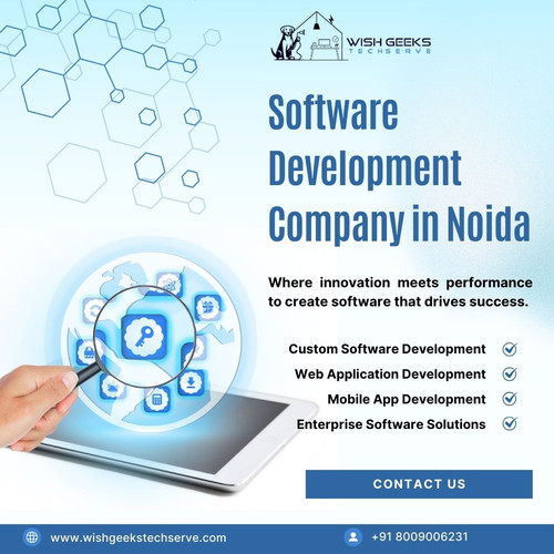 Trusted Software Development Company in Noida- Wish Geeks Techserve.jpg