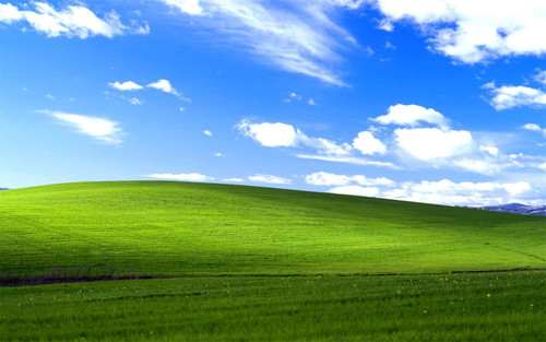 test.jpg