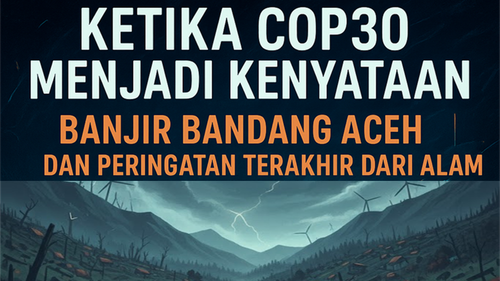 cover COP30.png