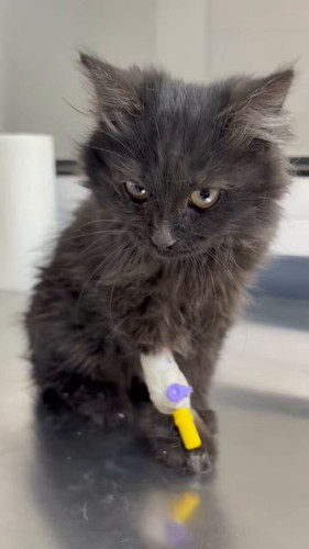 ozgcY oI6Px3e2Hg.jpg