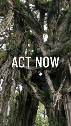 b21PT8ctnAo 9Nan.jpg