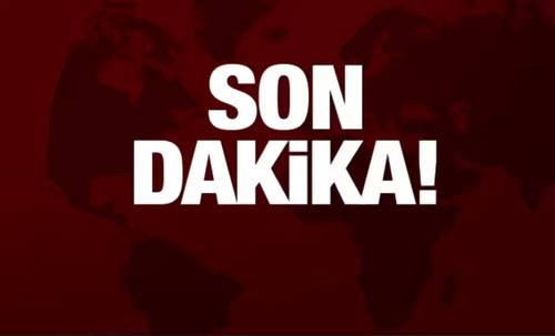 8Mg29QVe8MO 20gm.jpg