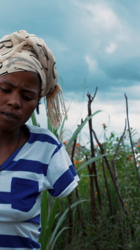 S mAY7CArDQS75tf.jpg