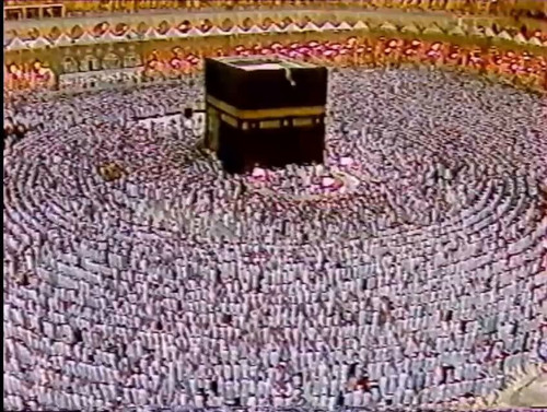 eo9RgRcA tmjODsx.jpg