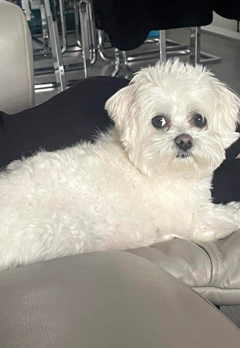 GQbzm HXcAAPiHH?format=jpg.jpg