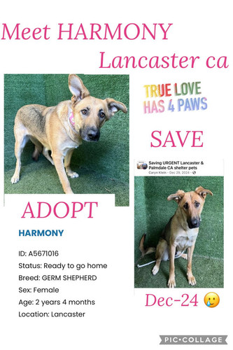 G6yb7 vXMAALicH?format=jpg.jpg