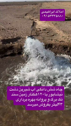 9WC3ZLupouNoyJ g.jpg