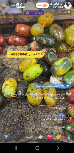 3FA2533D 1171 4DB9 909C D3A8CCF4284D.jpg