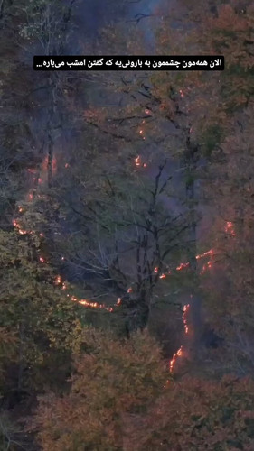 q36Eu 1y7UETlGNy.jpg