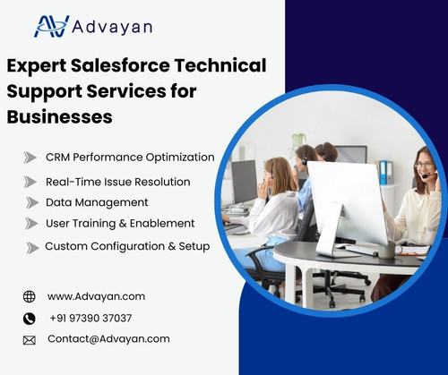 Expert Salesforce Technical Support Services for Businesses.jpg