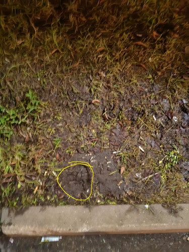 IMG 20251202 192325.jpg
