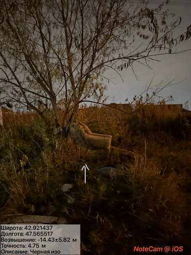 photo 17 2025 12 04 01 52 00.jpg