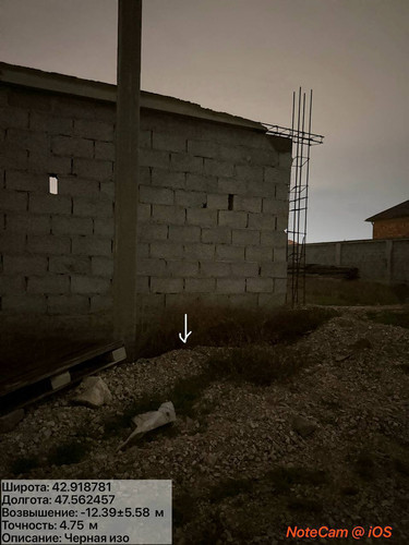 photo 12 2025 12 04 01 52 00.jpg