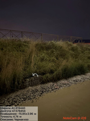 photo 4 2025 12 04 01 52 00.jpg