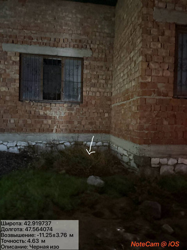 photo 13 2025 12 04 01 52 00.jpg