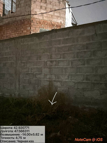 photo 9 2025 12 04 01 52 00.jpg