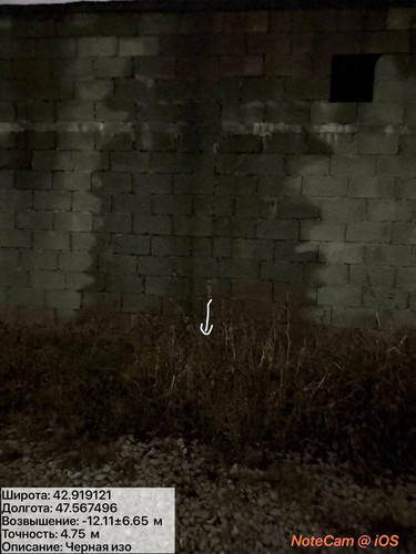 photo 6 2025 12 04 01 52 00.jpg