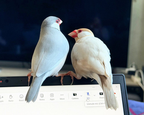 G7QQR1FaQAEgR0L.jpg