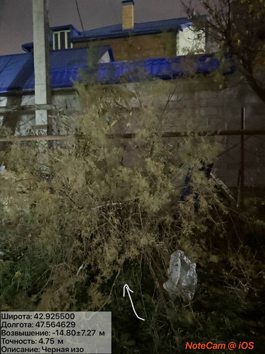 photo 28 2025 12 04 01 52 00.jpg