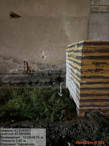 photo 25 2025 12 04 01 52 00.jpg