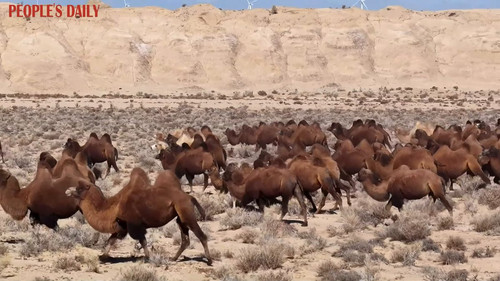 jfcCjP3lsyq kQ4T.jpg