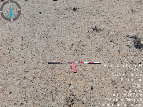 TimePhoto 20250618 135504.jpg