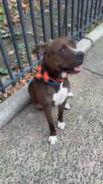 dszW IRb42mFoP9D.jpg