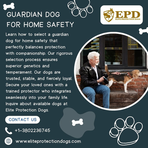 How to Choose a Guardian Dog for Home Safety and Family Life.jpg